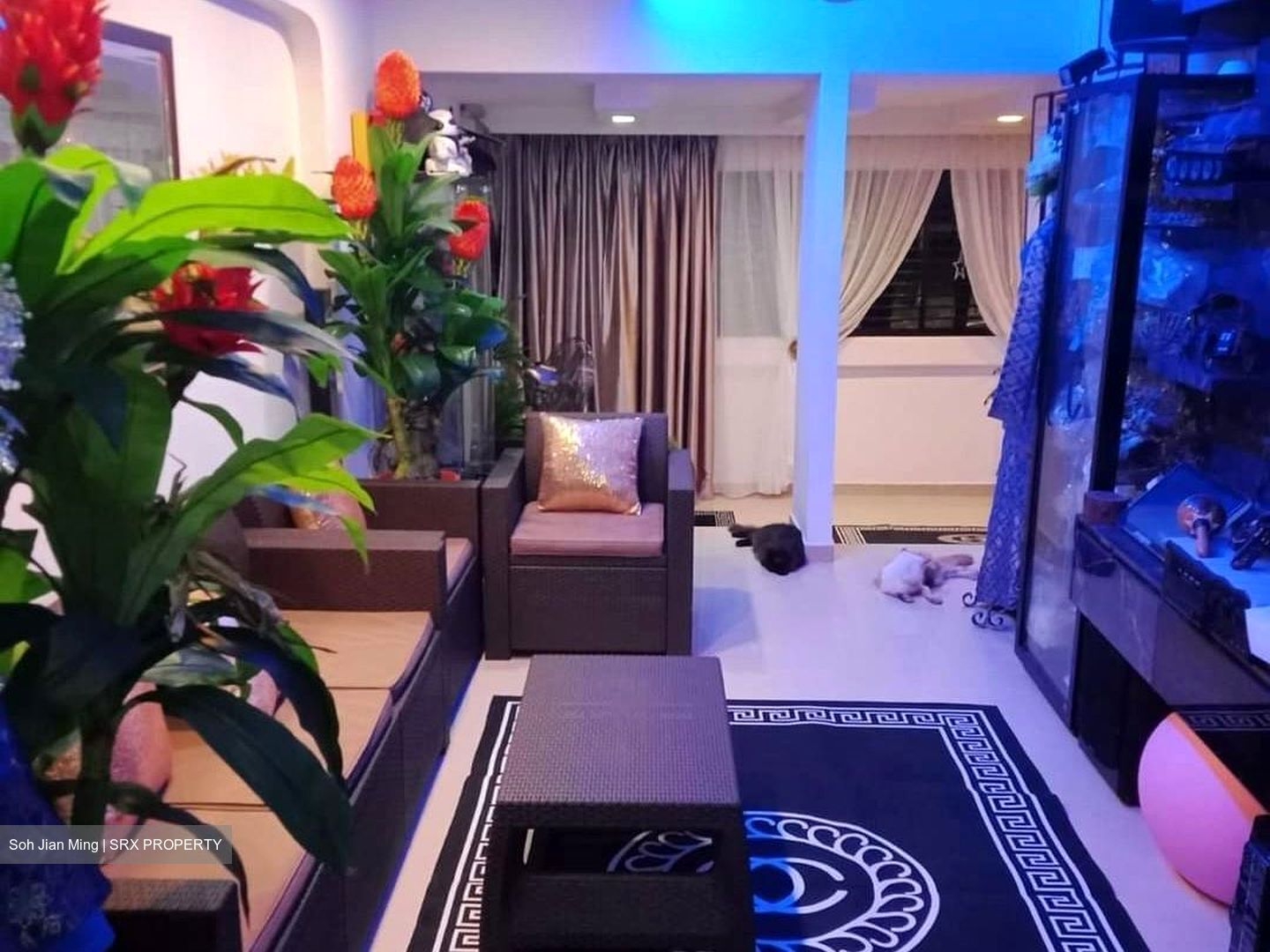 Blk 123 Yishun Street 11 (Yishun), HDB 3 Rooms #455424881